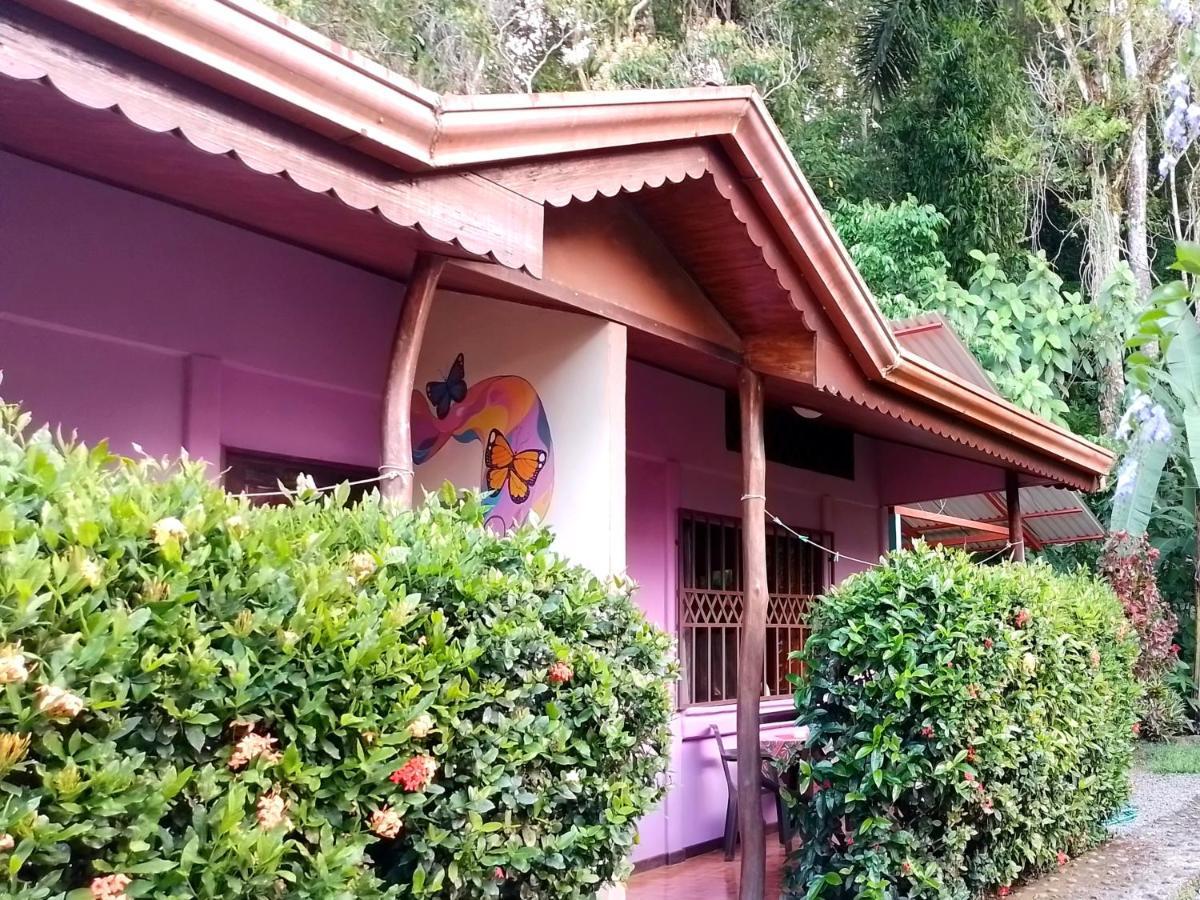 Ferienwohnung Casa Alegra Puerto Viejo de Talamanca Exterior foto