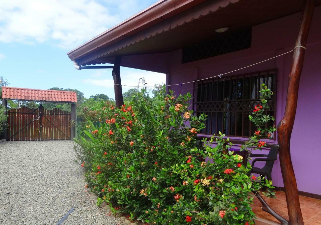 Ferienwohnung Casa Alegra Puerto Viejo de Talamanca Exterior foto